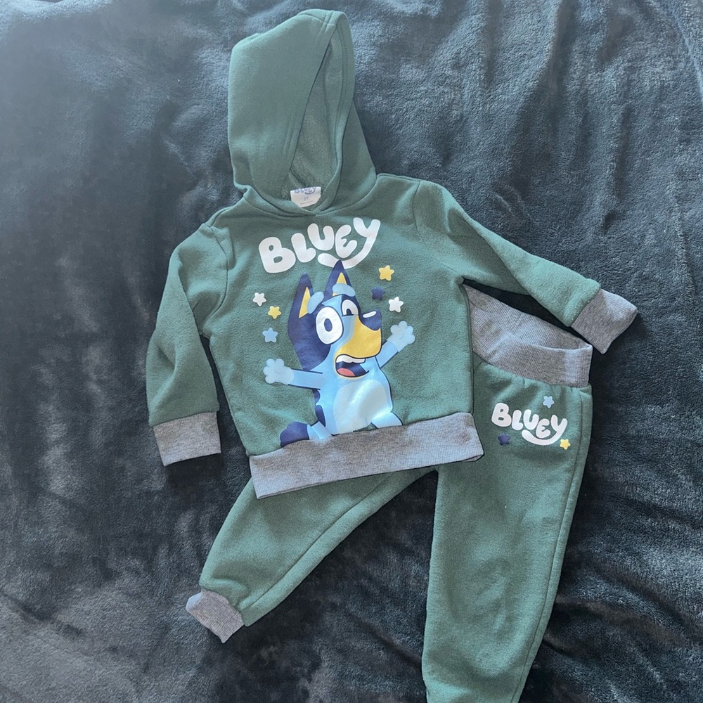 Bluey Toddler Green Hoodie and Pants Set